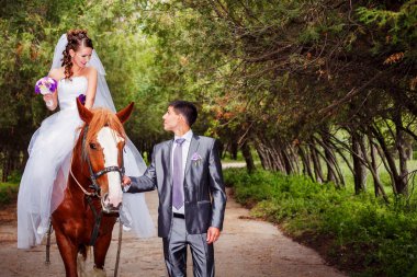 Gelin ve damat at ile