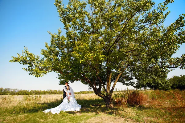 Krásné mladé Svatební pár — Stock fotografie