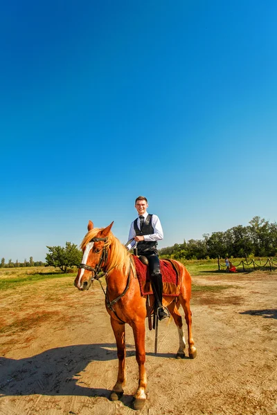 Portrait of the groom with a horse — Stock Photo, Image