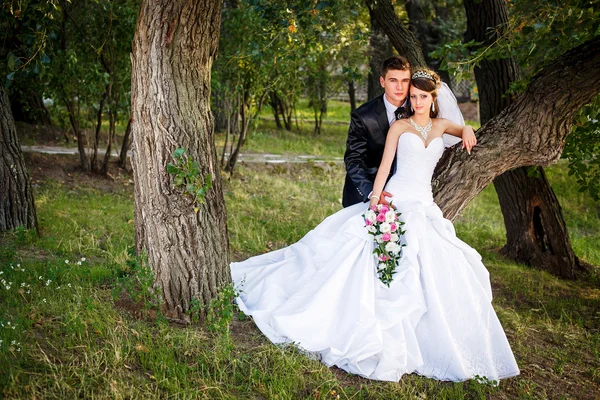 Lovely Young Wedding Couple — Stock Photo, Image