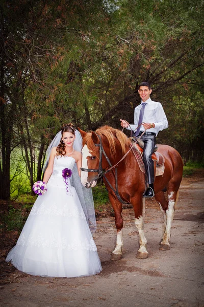 Bruid en bruidegom met paarden — Stockfoto