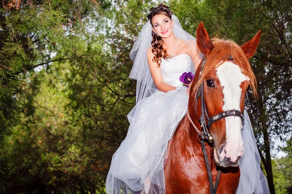 Novia a caballo a caballo —  Fotos de Stock