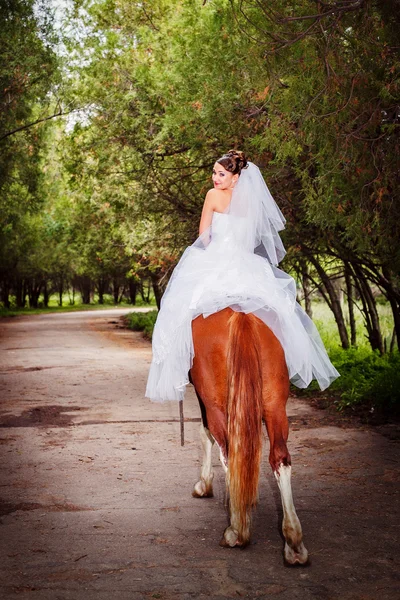 Menyasszony lovaglás ló — Stock Fotó