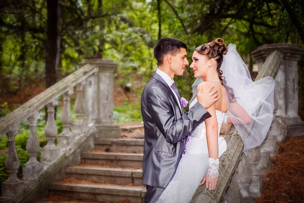 Hermosa pareja de boda joven — Foto de Stock