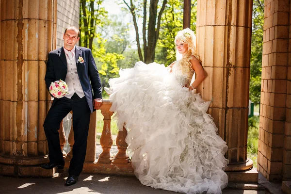 A portrait of the beautiful new bride and groom — Stock Photo, Image