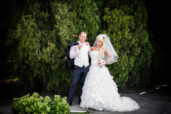 Portrét nádherná nevěsta a ženich — Stock fotografie
