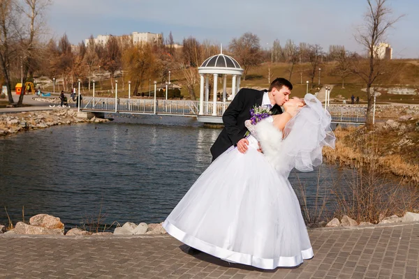 Bride and groom in a park — Stock Photo, Image