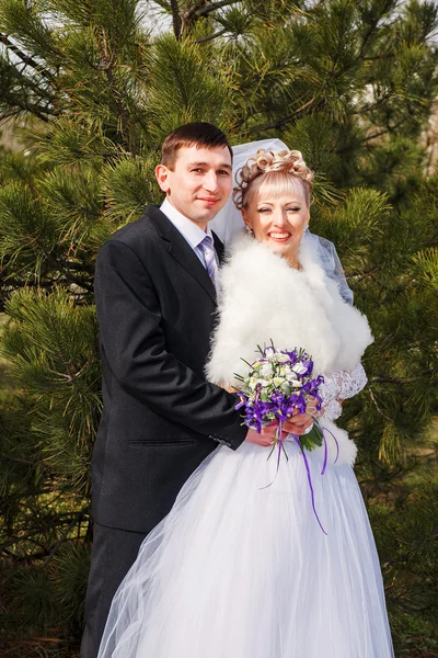 Bride and groom in a park — Stock Photo, Image