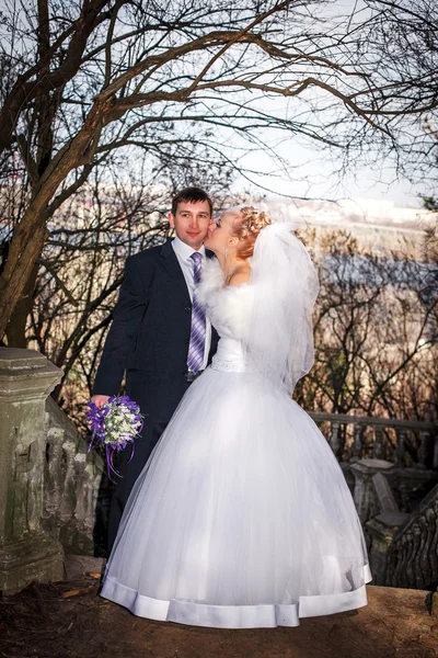 Bride and groom in a park — Stock Photo, Image