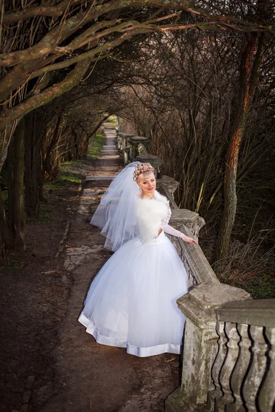 Gyönyörű menyasszony elegáns fehér menyasszonyi ruha, kézzel a fej — Stock Fotó