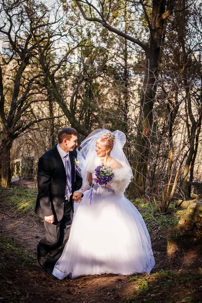 Bride and groom in a park — Stock Photo, Image