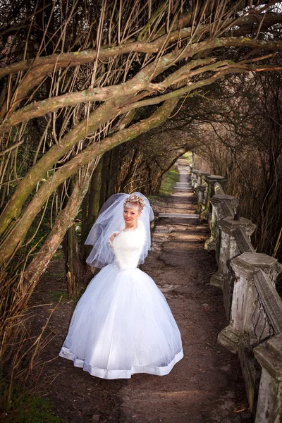 Bella sposa con elegante abito da sposa bianco con mano alla testa — Foto Stock