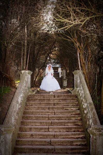 Όμορφη νύφη με κομψό άσπρο γαμήλιο φόρεμα με το χέρι στο κεφάλι — Φωτογραφία Αρχείου