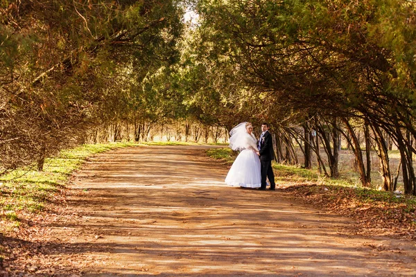 Bruden och brudgummen i en park — Stockfoto