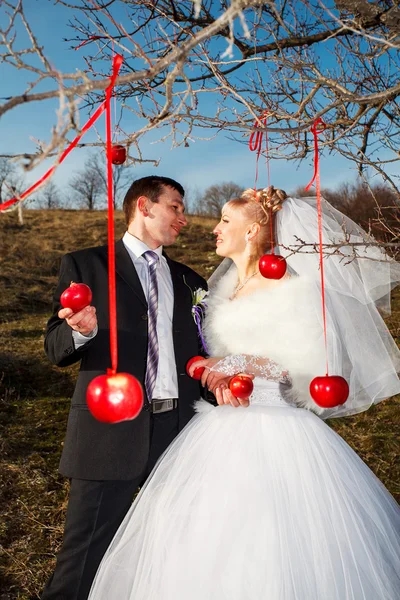 Gelukkige bruid en bruidegom op hun bruiloft — Stockfoto