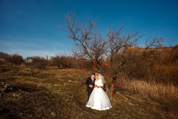 Šťastná nevěsta a ženich na jejich svatbě — Stock fotografie