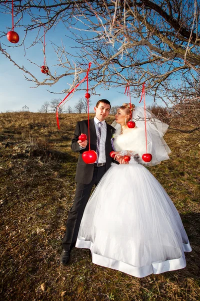 Šťastná nevěsta a ženich na jejich svatbě — Stock fotografie