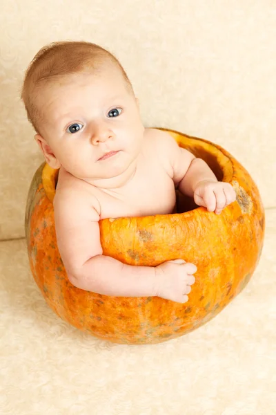 Porträtt av en hänryckt liten pojke med halloween pumpa — Stockfoto