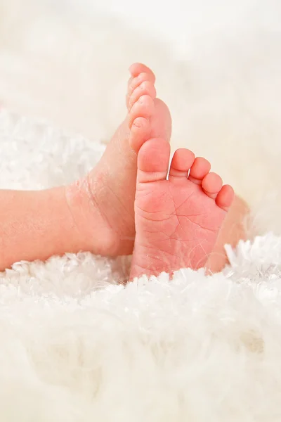 Newborn baby feet on female hands — Stock Photo, Image