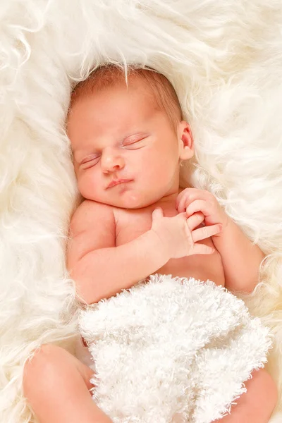 Newborn baby boy sleeping on sheep's wool — Stock Photo, Image