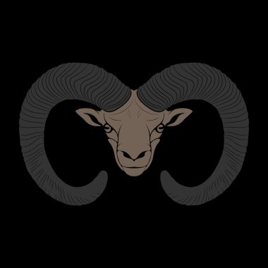 Ovis. kunduzdan oluşur