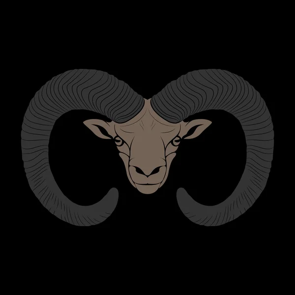 O Ovis. Mouflon. —  Vetores de Stock