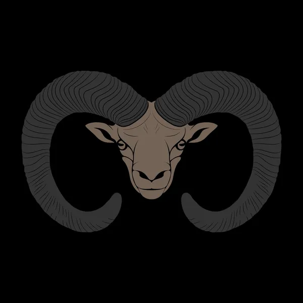 O Ovis. Mouflon. —  Vetores de Stock