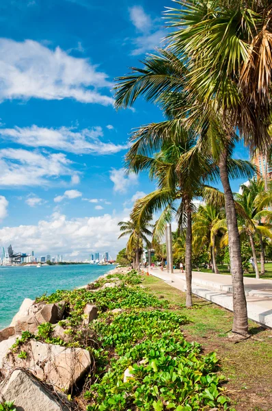 Pasarela en un hermoso parque en Miami Beach —  Fotos de Stock