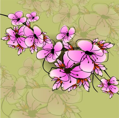 çiçek sakura