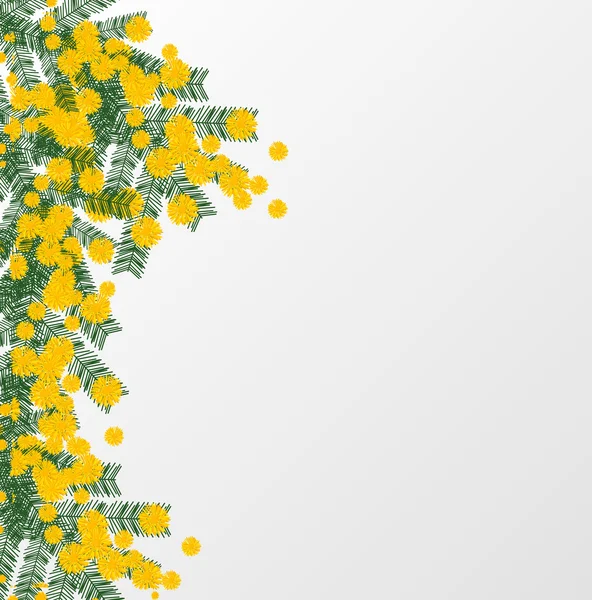 Ilustración de primavera con una mimosa — Vector de stock