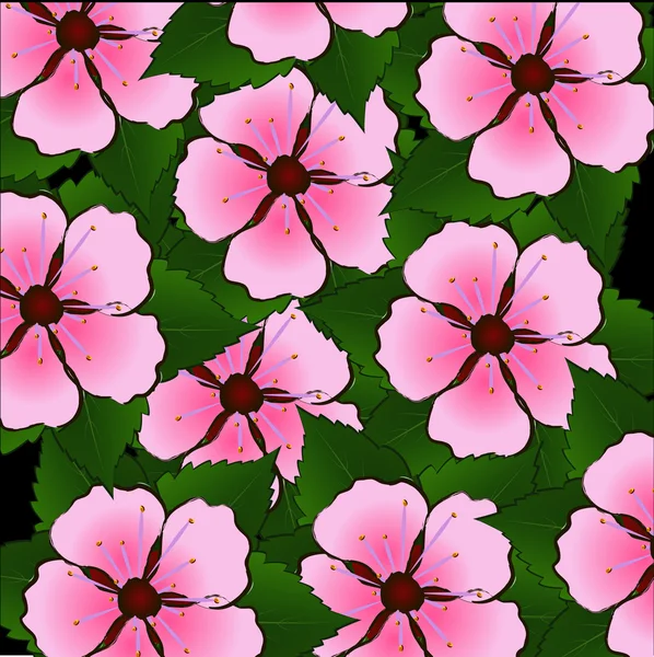 Fleur sacura — Image vectorielle