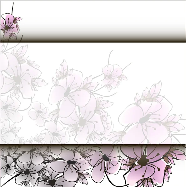 Flower sacura — Stock Vector