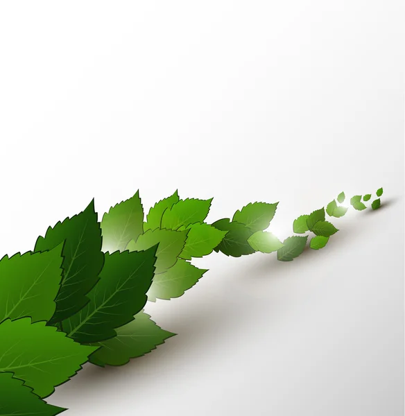 Spring - fresh green leaf. Vector illustration — Stock Vector