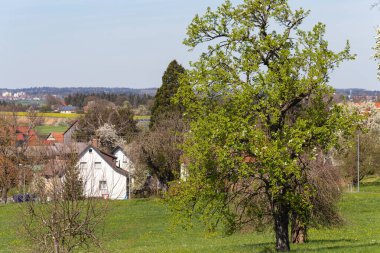 İlkbaharda güneşli bir öğleden sonra Alman kırsalında köy ve doğa.
