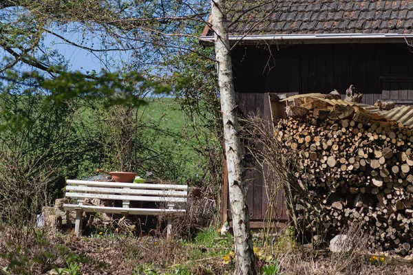 Beautiful Hut Wood Bench Spring Green Trees Lawn — Foto de Stock