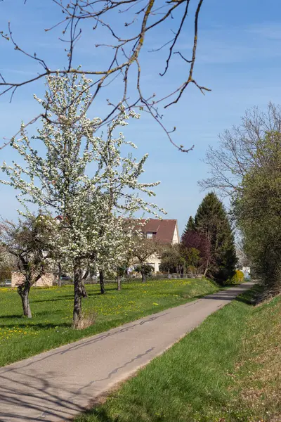 Dorf Und Natur Deutscher Landschaft Frühlingshaften Sonnigen Nachmittag — Stockfoto