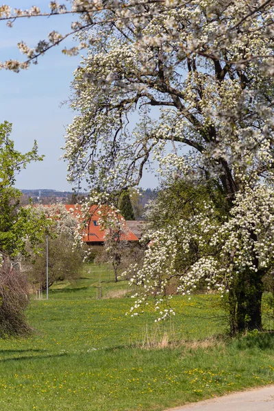 Countryside Village Nature German Landscape Springtime Sunny Afternoon — Stock Photo, Image
