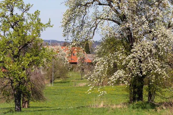 İlkbaharda güneşli bir öğleden sonra Alman kırsalında köy ve doğa.