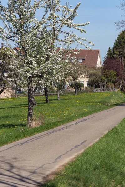 Dorf Und Natur Deutscher Landschaft Frühlingshaften Sonnigen Nachmittag — Stockfoto
