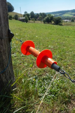 Güney Almanya yaz kırsalında elektrikli çit.