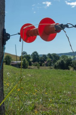 Güney Almanya yaz kırsalında elektrikli çit.