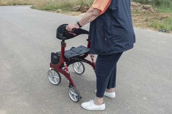 Hölgy Rollator Délnémet Nyár Vidéken — Stock Fotó