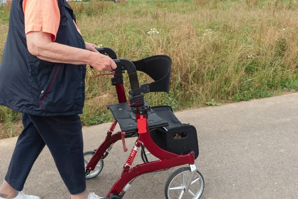 Dam Med Rollator Södra Tyskland Många Sommar Landsbygd — Stockfoto