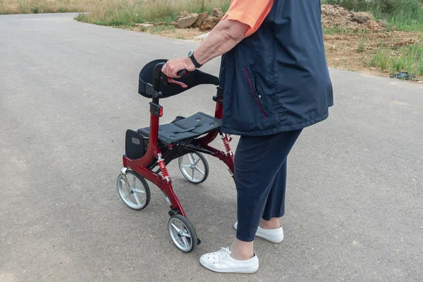 Lady Rollator South Germany Summertime Countryside — Stockfoto