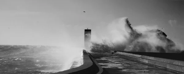 High wave — Stock Photo, Image