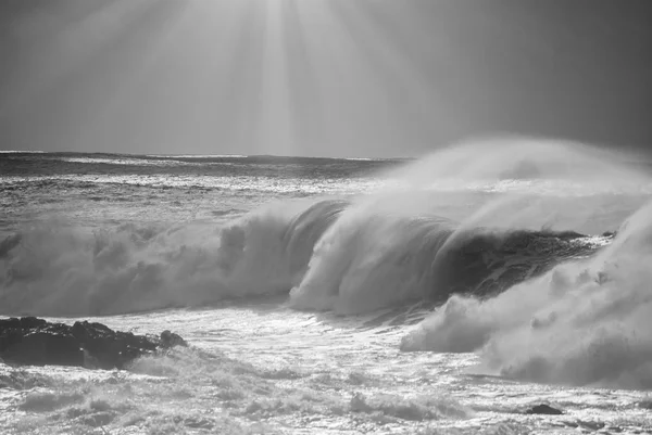 Hohe Welle — Stockfoto