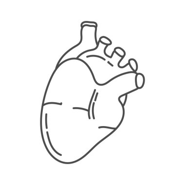 İnsan kalbi okullarda veya çocuk boyama kitaplarında eğitici amaçlar için çizilmiş.