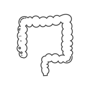 Okullarda veya çocuk boyama kitaplarında eğitici amaçlar için insan kalın bağırsak organının el çizimi