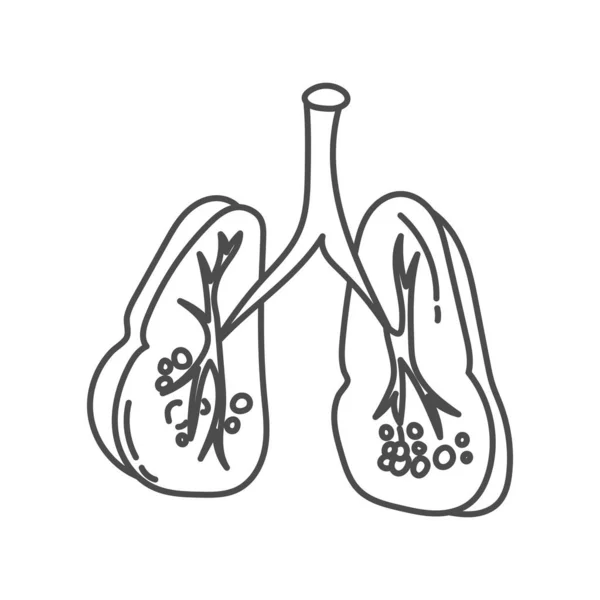 Ilustración Dibujada Mano Los Pulmones Humanos Con Fines Educativos Las — Archivo Imágenes Vectoriales
