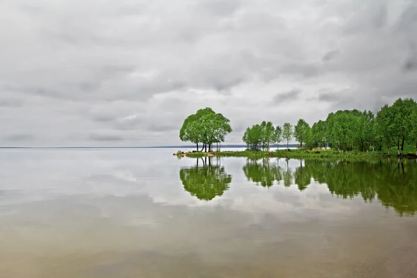 曇り空の下で、湖に映る緑の木々 ストックフォト